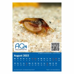 Tischkalender 2022 Mongolische Urzeitkrebse August